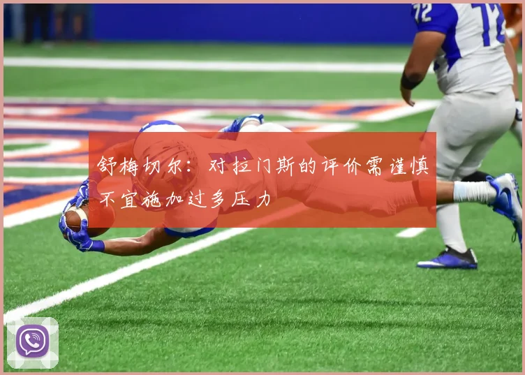 舒梅切尔：对拉门斯的评价需谨慎不宜施加过多压力