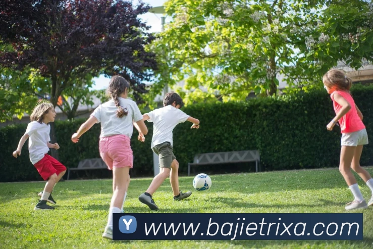 多媒体互动体验